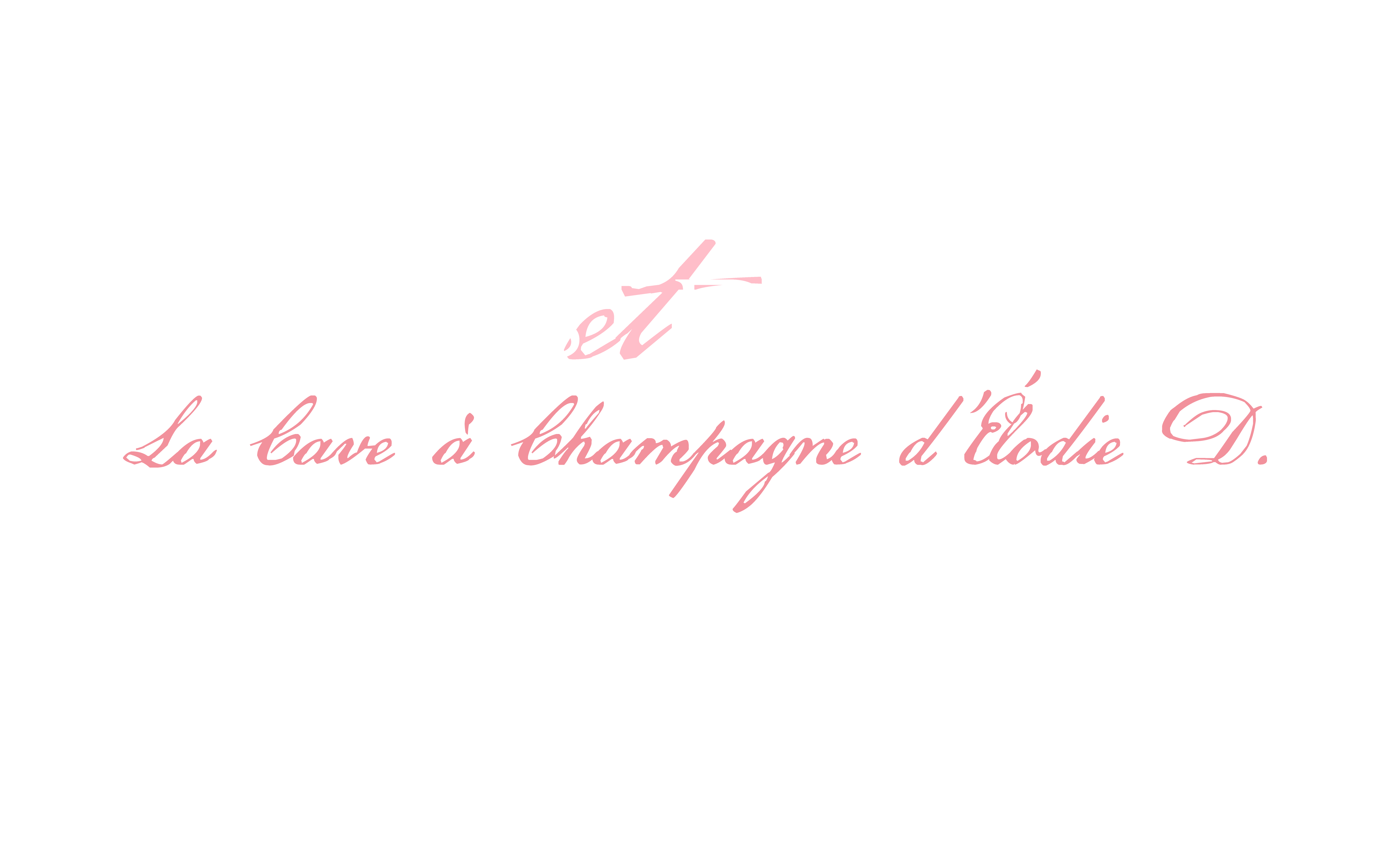 Bulles et Bonheur, le bar à Champagne ELODIE D.