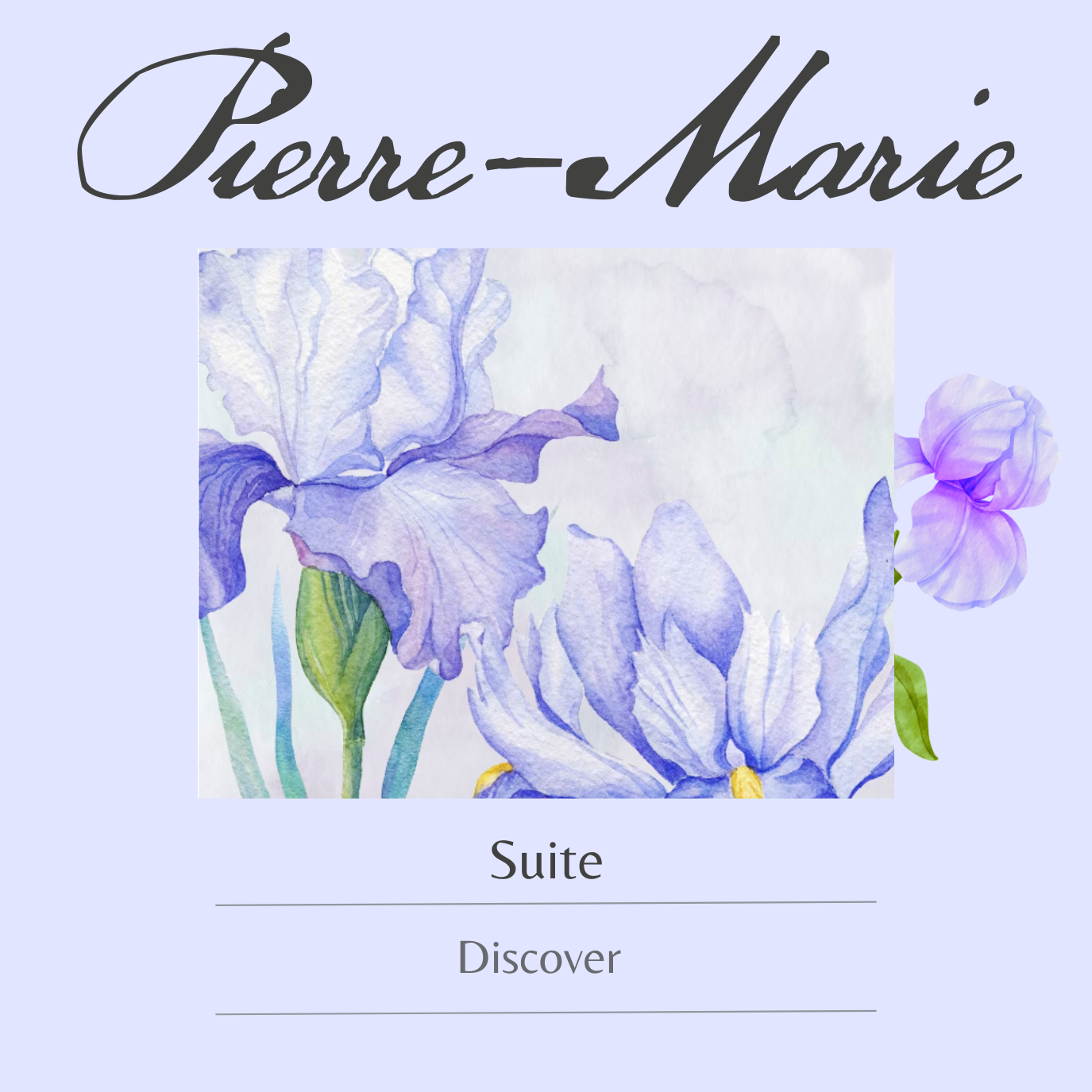 Pierre-Marie suite